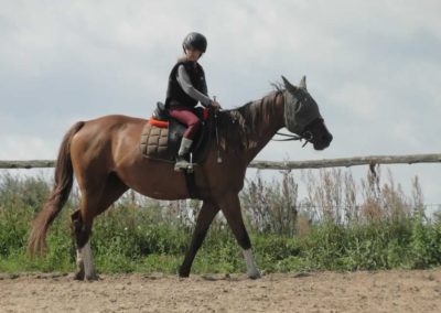 oboz-konie-2017-8-1-0071