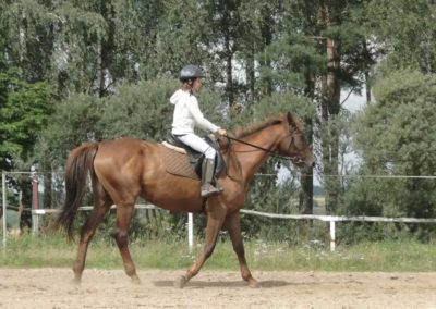 oboz-konie-2017-8-1-0091