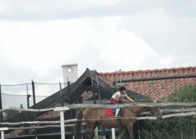 oboz-konie-2017-8-2-0047