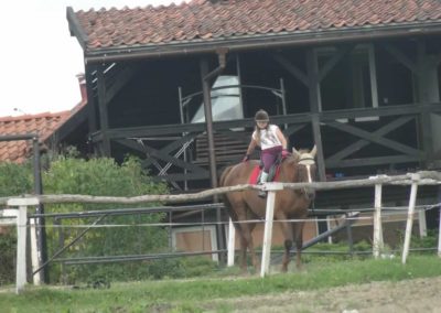 oboz-konie-2017-8-2-0048