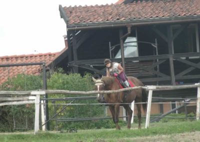 oboz-konie-2017-8-2-0049