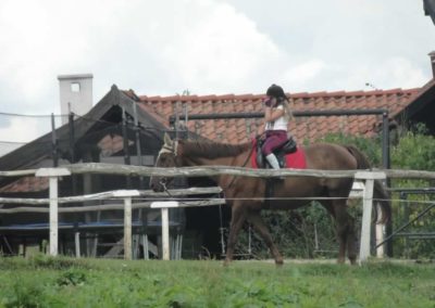 oboz-konie-2017-8-2-0050