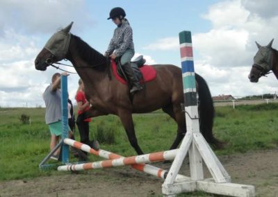 oboz-konie-2017-8-2-0051