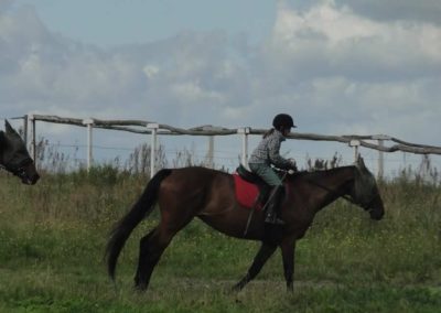 oboz-konie-2017-8-2-0065