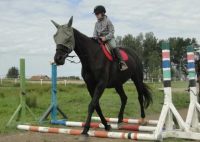 oboz-konie-2017-8-3-0034