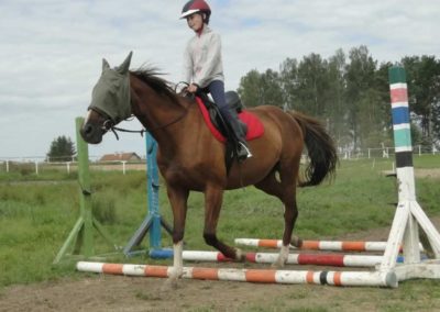 oboz-konie-2017-8-3-0041
