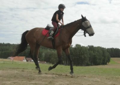 oboz-konie-2017-8-3-0056