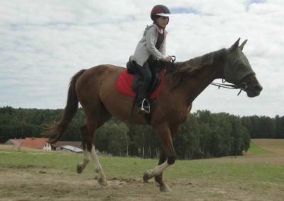 oboz-konie-2017-8-3-0057