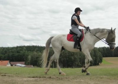 oboz-konie-2017-8-3-0075
