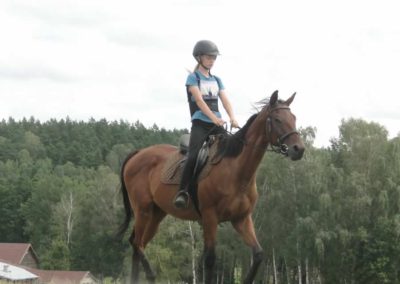oboz-konie-2017-8-3-0083