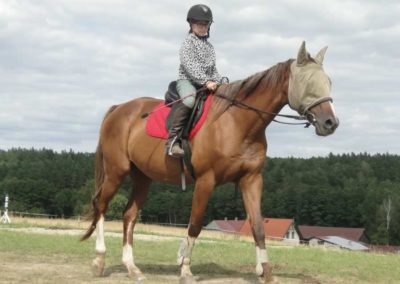 oboz-konie-2017-8-3-0126