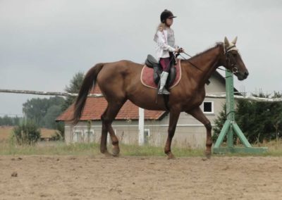 oboz-konie-2017-8-5-0003