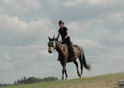 oboz-konie-2017-8-5-0181