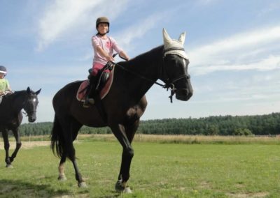 oboz-konie-2017-8-6-0002