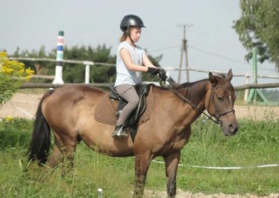 oboz-konie-2017-8-6-0006