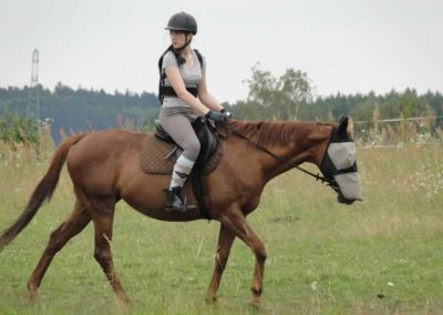 oboz-konie-2016-3-1-0041