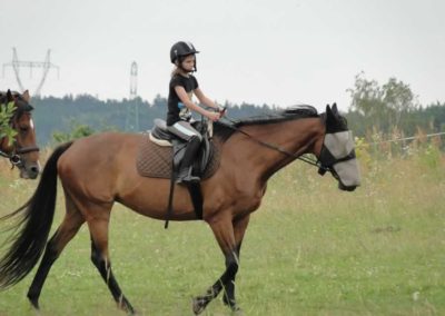 oboz-konie-2016-3-1-0042