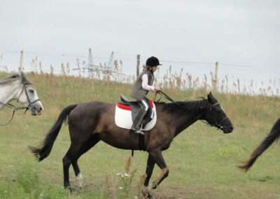 oboz-konie-2016-3-1-0052
