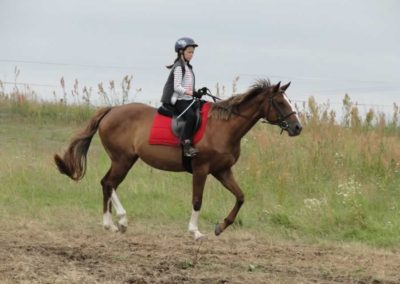 oboz-konie-2016-3-1-0061