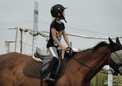 oboz-konie-2016-3-1-0071