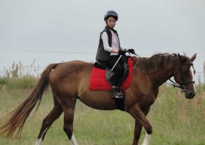 oboz-konie-2016-3-1-0081