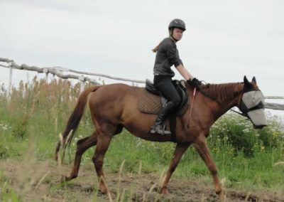 oboz-konie-2016-3-1-0148
