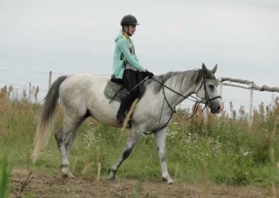 oboz-konie-2016-3-1-0154