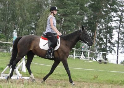 oboz-konie-2016-3-1-0158