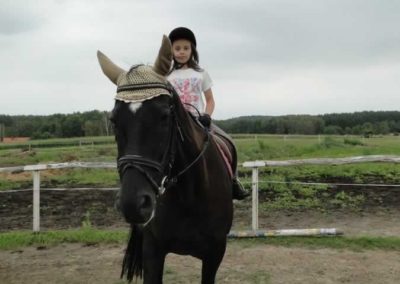 oboz-konie-2016-3-1-0204