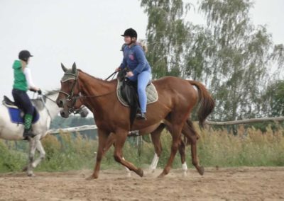 oboz-konie-2016-3-1-0226