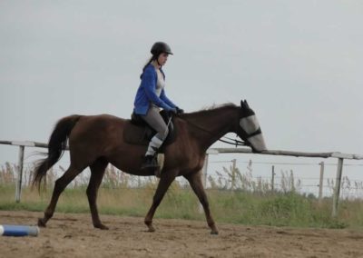 oboz-konie-2016-3-1-0229