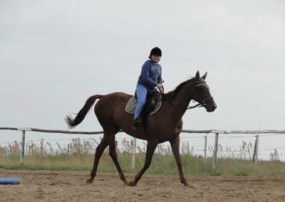 oboz-konie-2016-3-1-0231