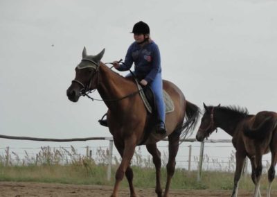oboz-konie-2016-3-1-0245