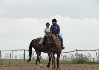 oboz-konie-2016-3-1-0278