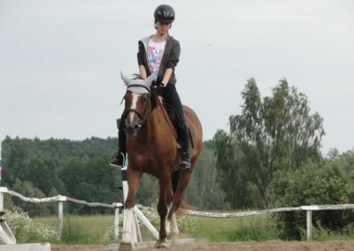 oboz-konie-2016-3-1-0279