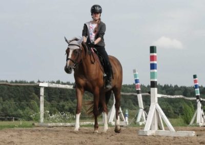 oboz-konie-2016-3-1-0292