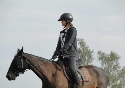 oboz-konie-2016-3-1-0337