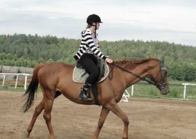 oboz-konie-2016-3-1-0343