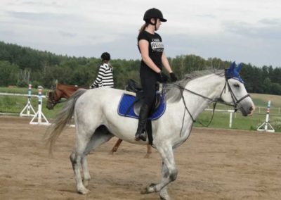 oboz-konie-2016-3-1-0351