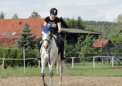 oboz-konie-2016-3-1-0359