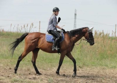 oboz-konie-2016-3-2-0011