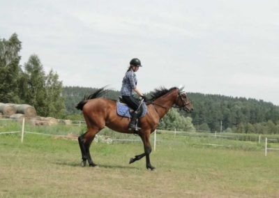 oboz-konie-2016-3-2-0025