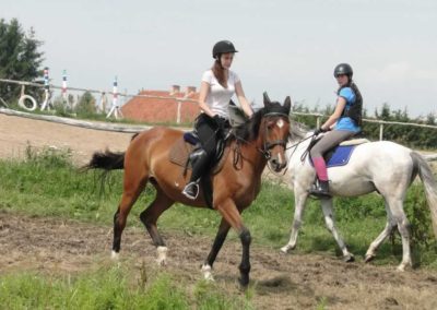 oboz-konie-2016-3-2-0031