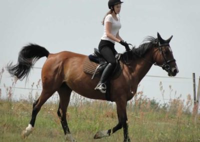 oboz-konie-2016-3-2-0040