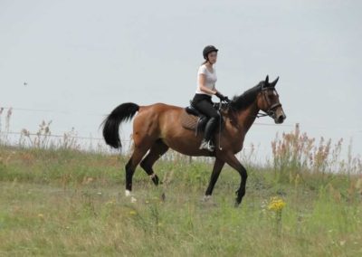oboz-konie-2016-3-2-0041