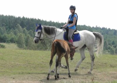 oboz-konie-2016-3-2-0045