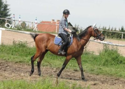 oboz-konie-2016-3-2-0048