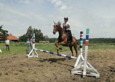 oboz-konie-2016-3-2-0073