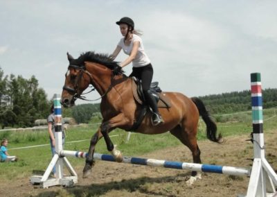 oboz-konie-2016-3-2-0089