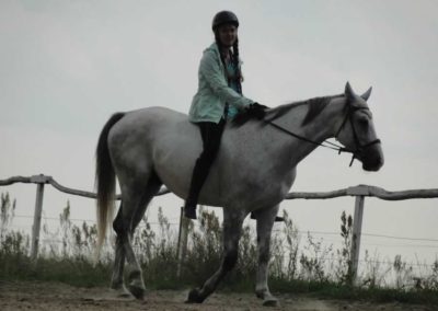 oboz-konie-2016-3-2-0141